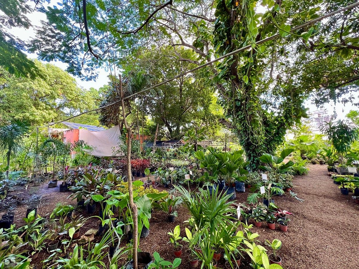 Lote em Altabrisa, Mérida, foto 6 de 25