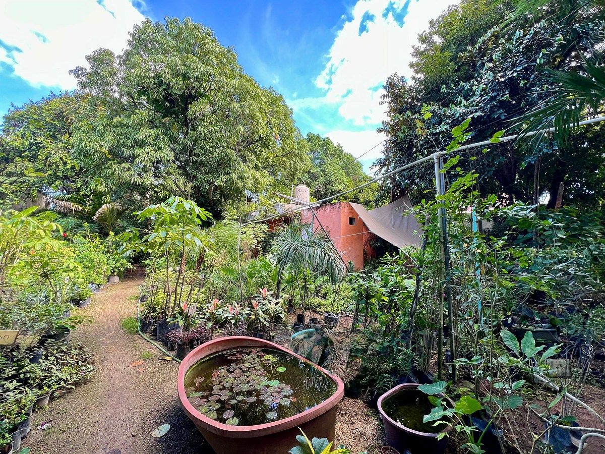 Lote em Altabrisa, Mérida, foto 7 de 25