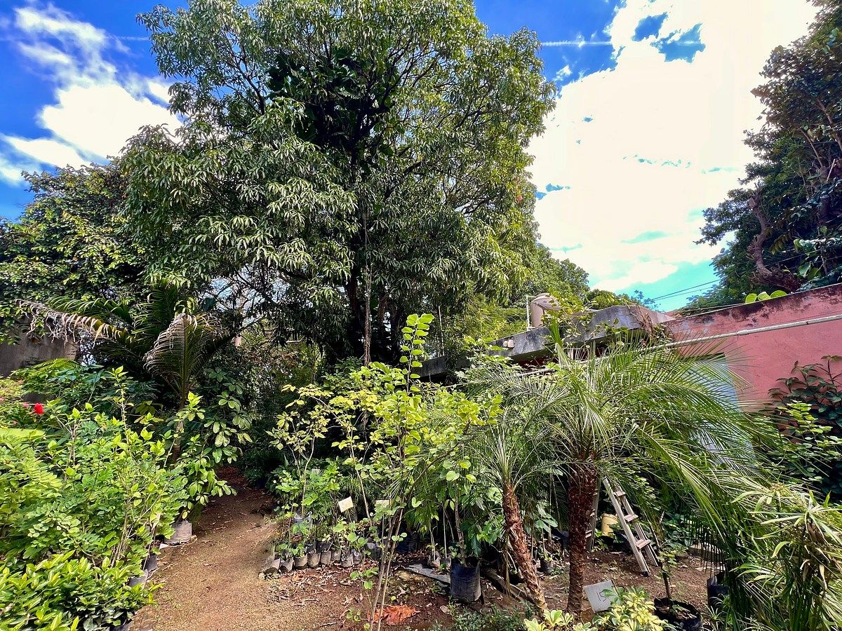 Lote em Altabrisa, Mérida, foto 9 de 25
