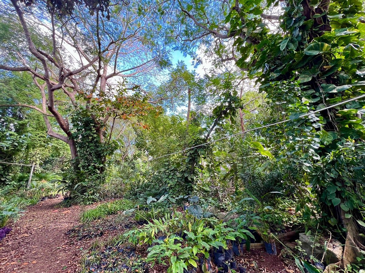 Lote em Altabrisa, Mérida, foto 10 de 25
