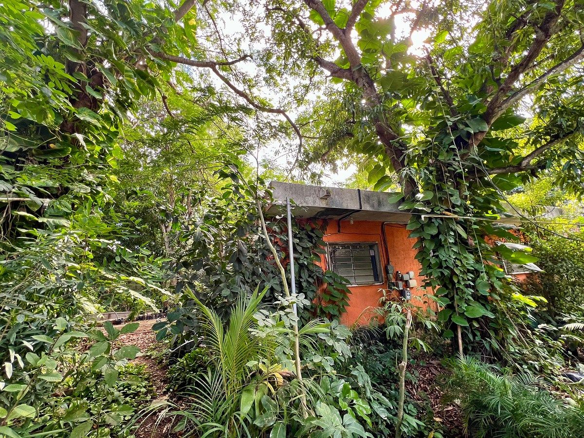 Lote em Altabrisa, Mérida, foto 11 de 25