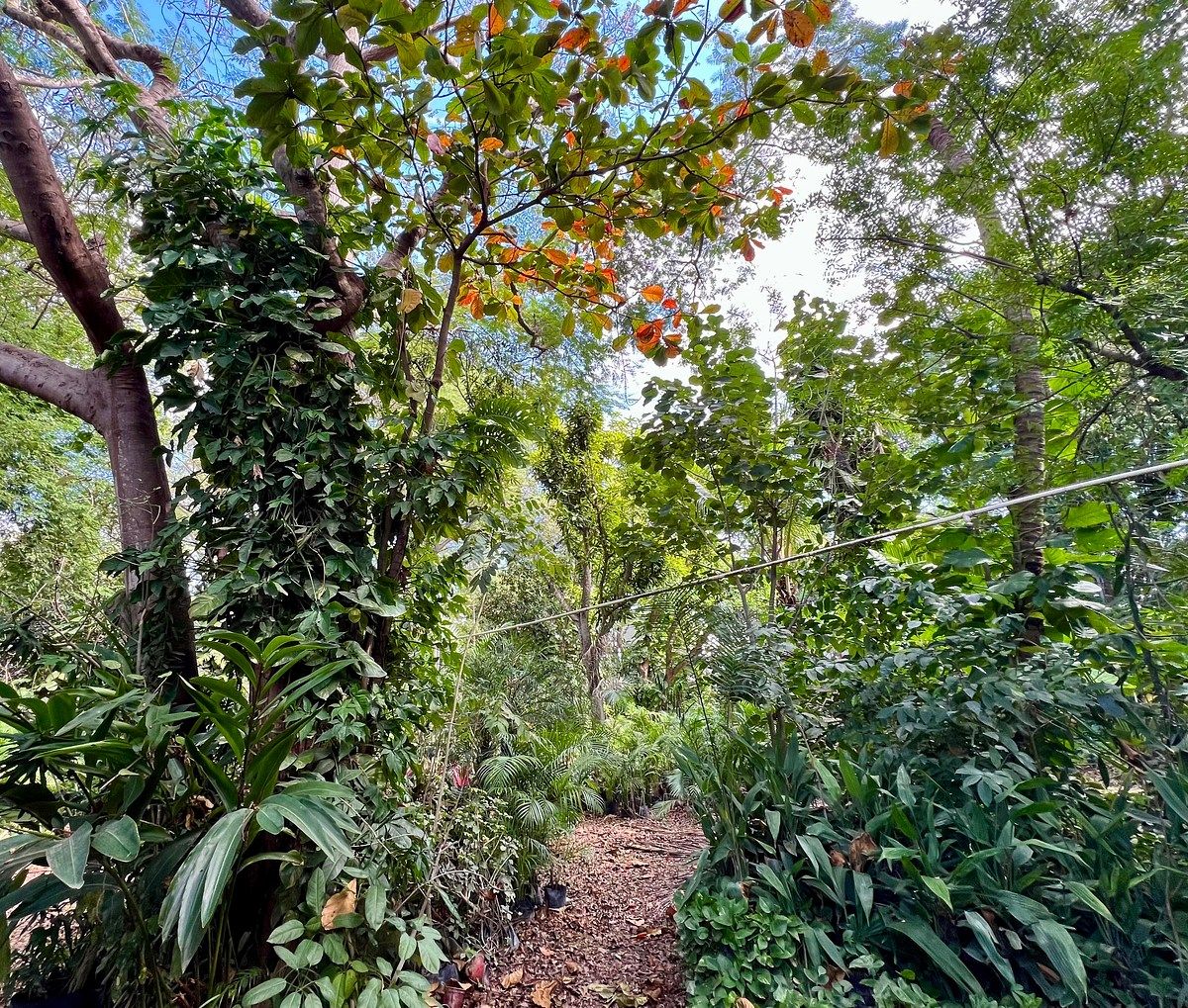 Lote em Altabrisa, Mérida, foto 12 de 25