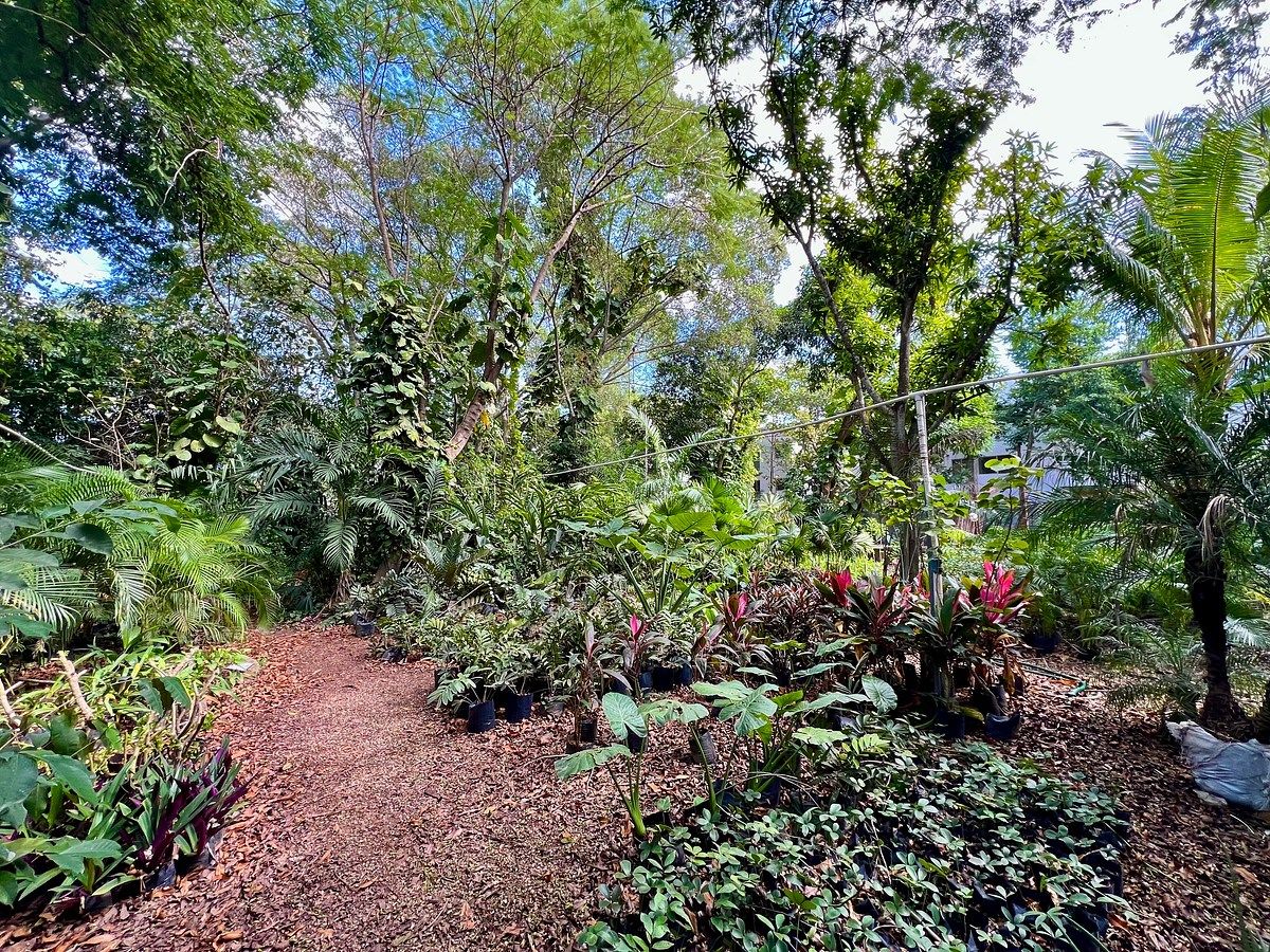 Lote em Altabrisa, Mérida, foto 13 de 25