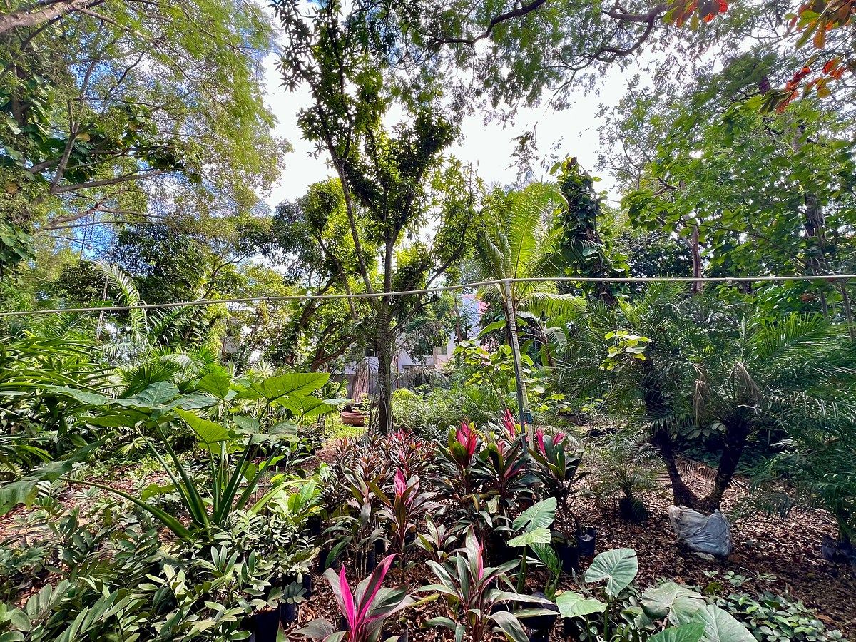 Lote em Altabrisa, Mérida, foto 14 de 25