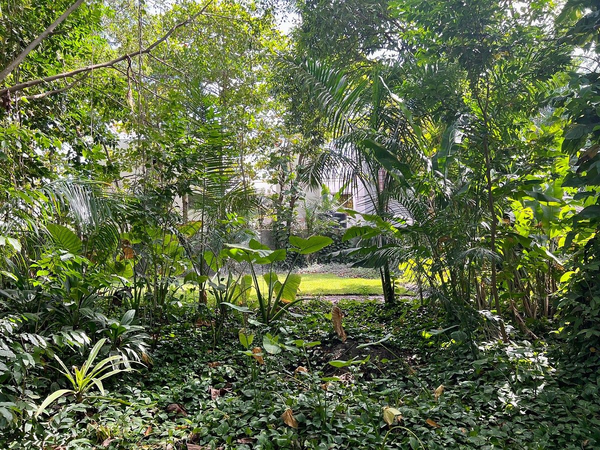 Lote em Altabrisa, Mérida, foto 16 de 25