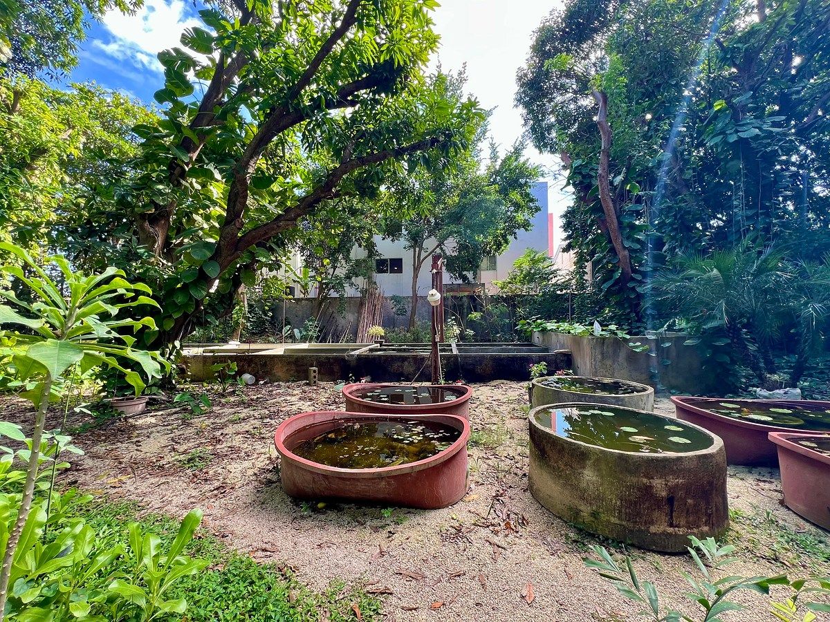 Lote em Altabrisa, Mérida, foto 17 de 25