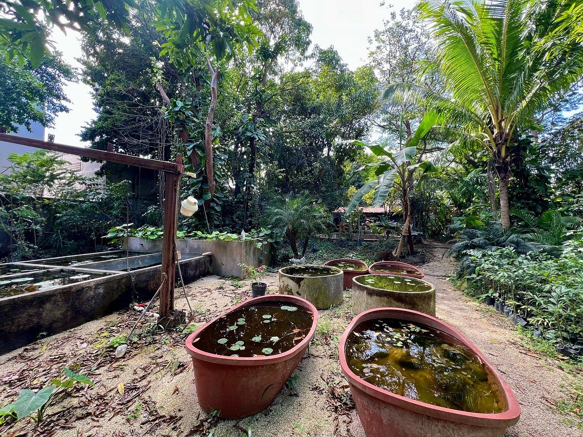 Lote em Altabrisa, Mérida, foto 19 de 25