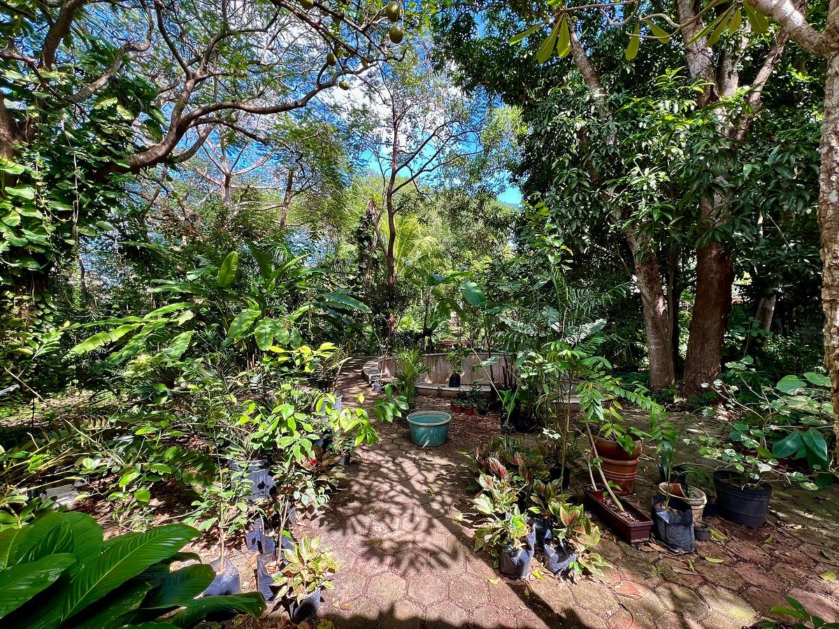 Lote em Altabrisa, Mérida, foto 25 de 25