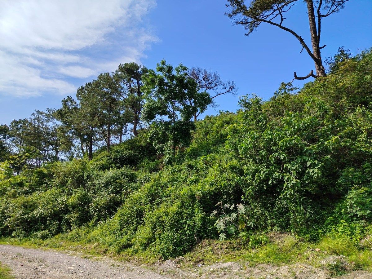 TERRENO URBANO EN VENTA SAN SEBASTIAN DEL OESTE - foto 3
