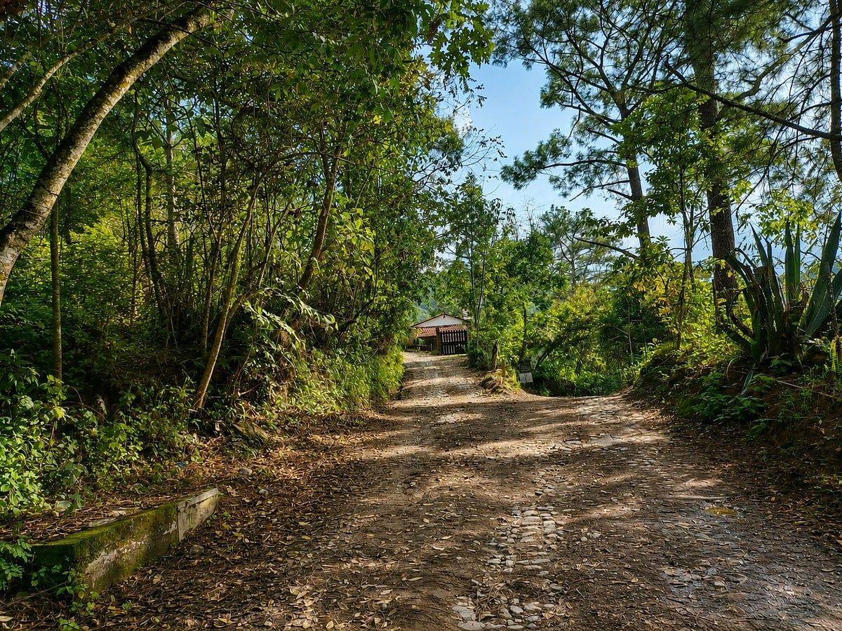 TERRENO URBANO EN VENTA SAN SEBASTIAN DEL OESTE - foto 1