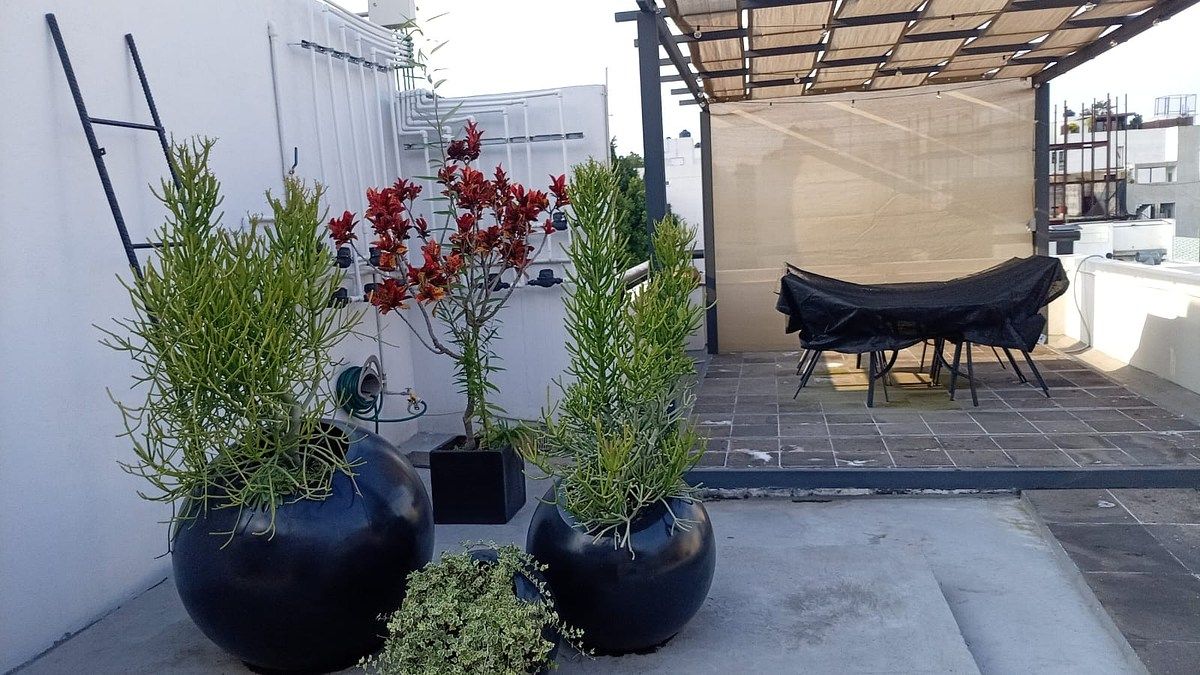 Departamento en Residencial Emperadores, Benito Juárez, foto 9 de 17