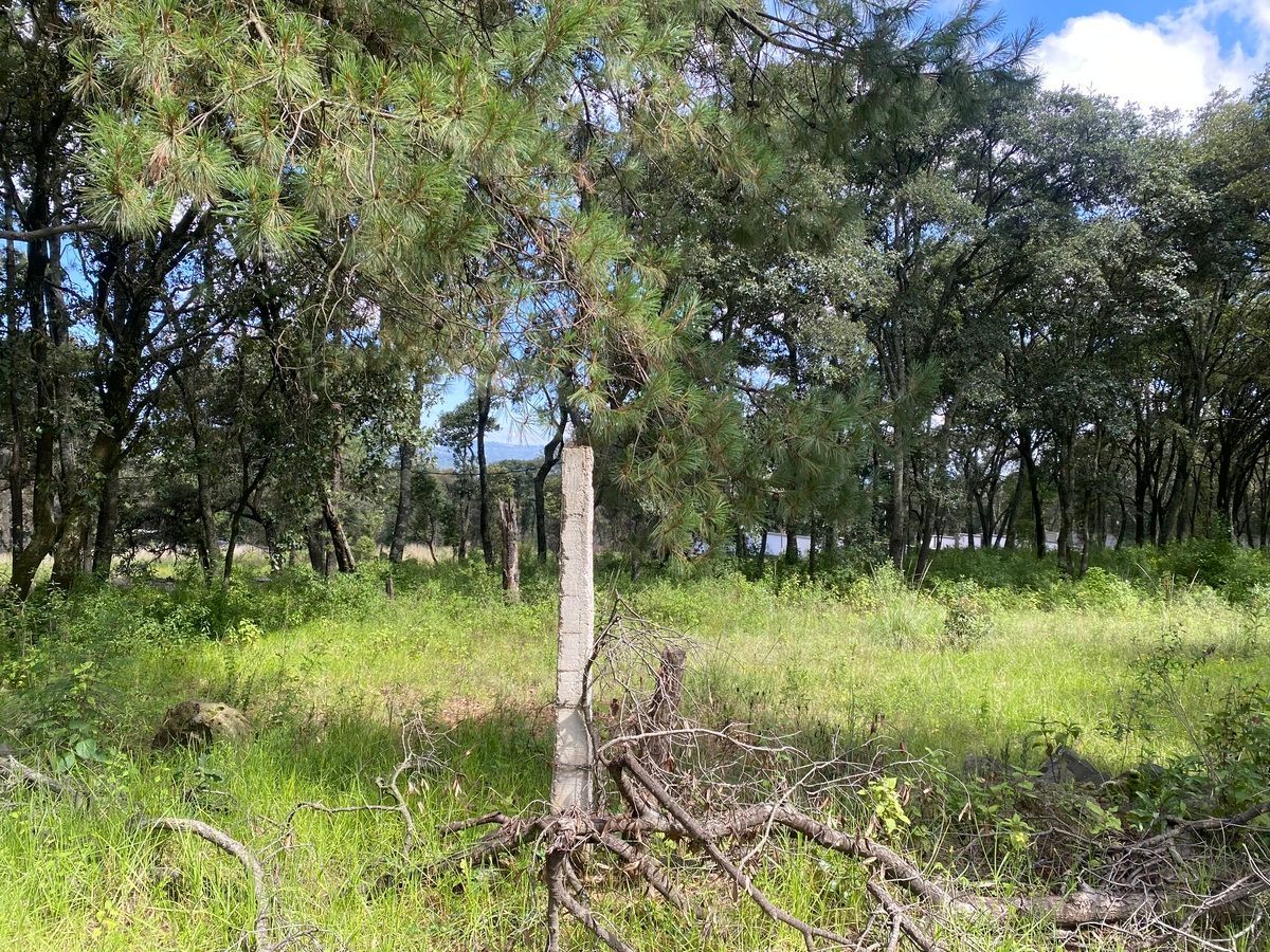 Lote em Santa María Mazatla, Jilotzingo, foto 3 de 12