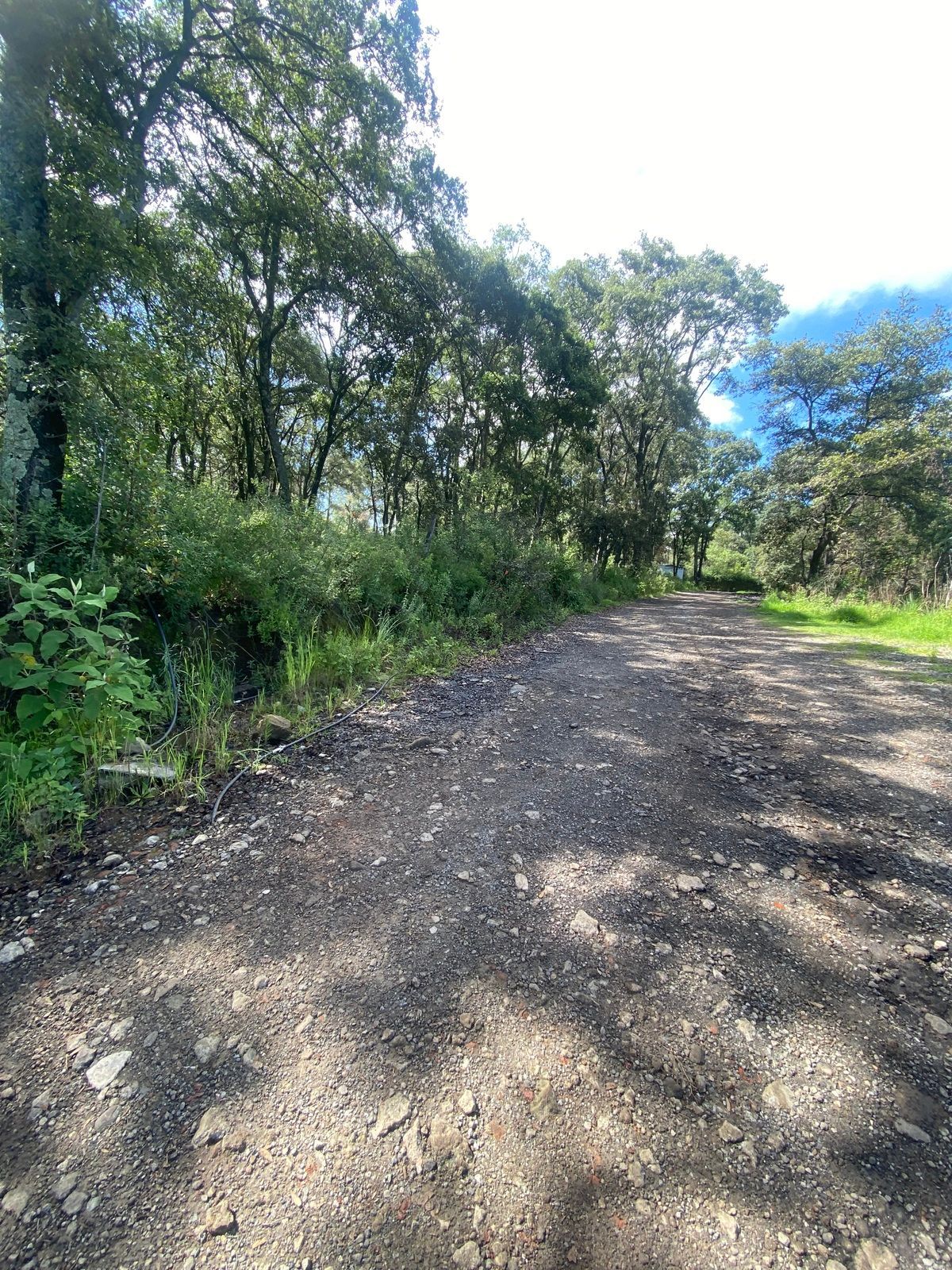 Lote em Santa María Mazatla, Jilotzingo, foto 5 de 12