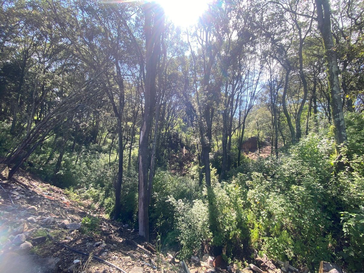 Lote em Santa María Mazatla, Jilotzingo, foto 8 de 12