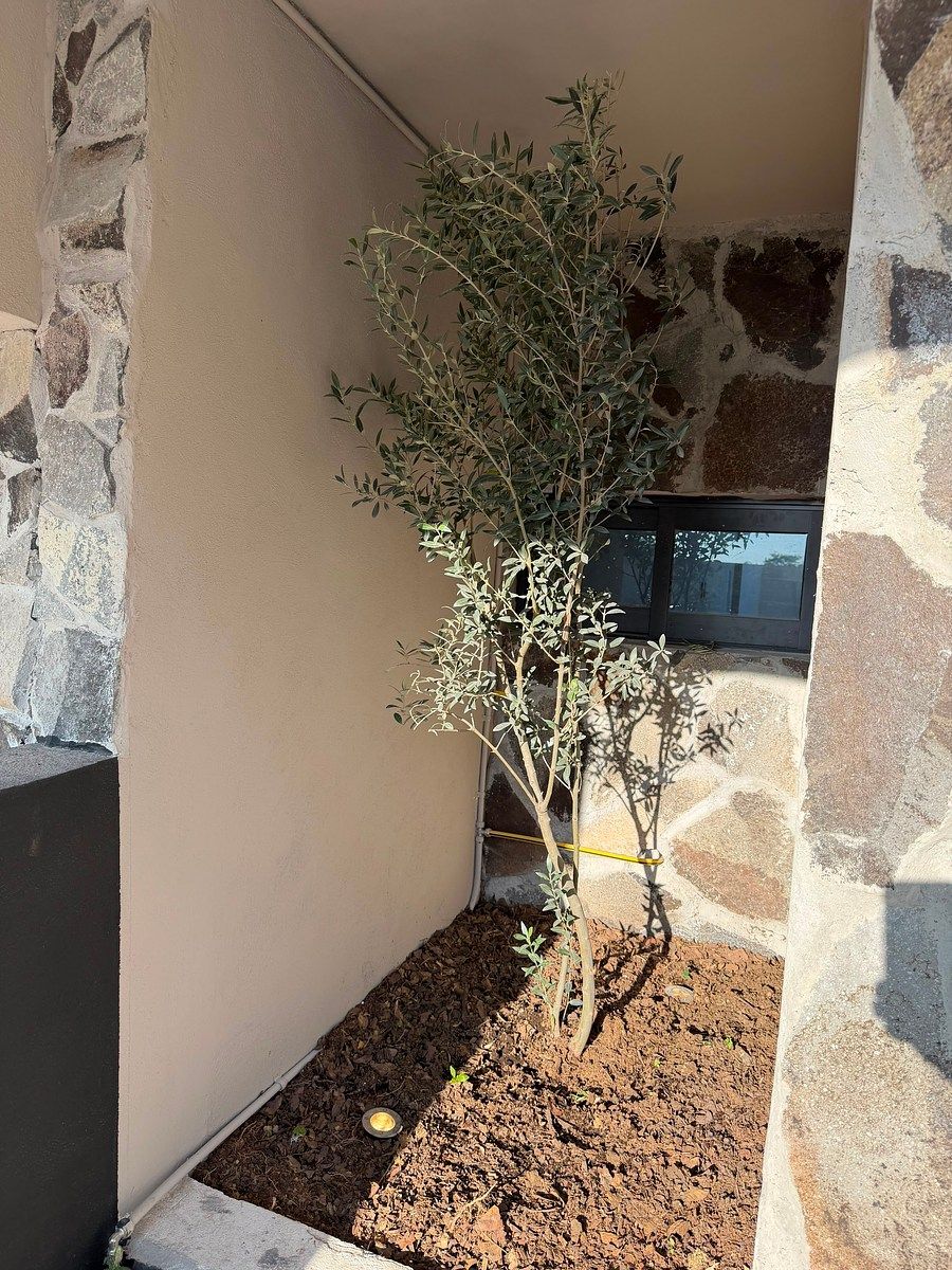 Casa en condominio en Capital Sur, El Marqués, foto 9 de 17