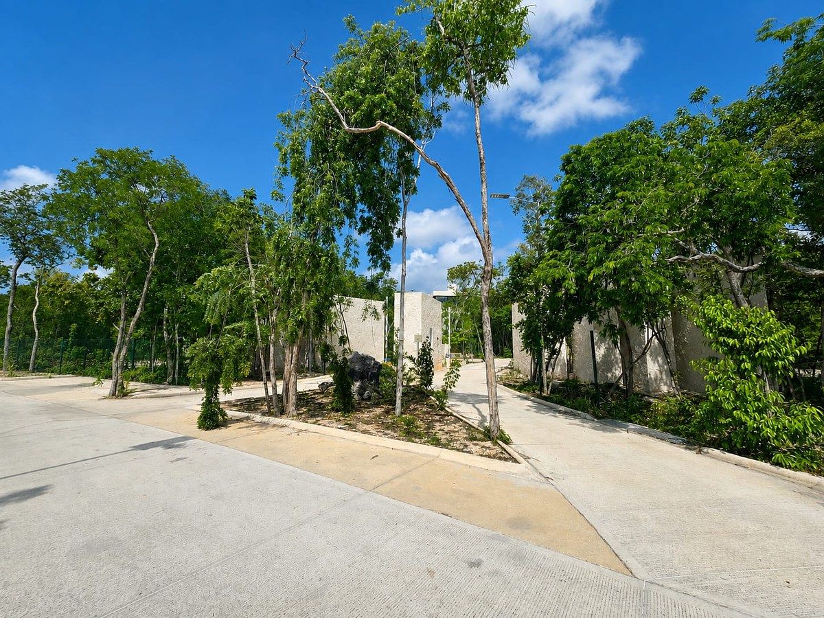 Lote em Aldea Zamá, Tulum, foto 2 de 5