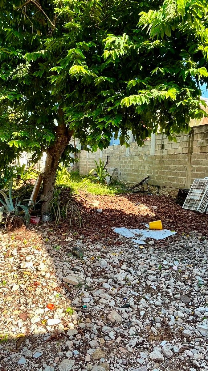 Terreno en Diaz Ordaz, Mérida, foto 3 de 5