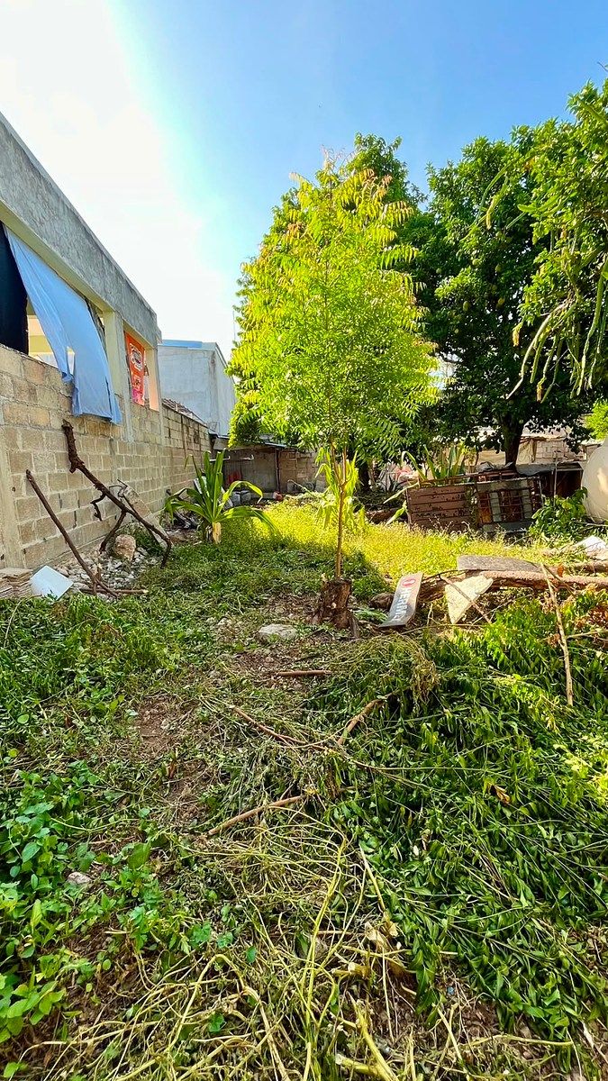 Terreno en Diaz Ordaz, Mérida, foto 4 de 5