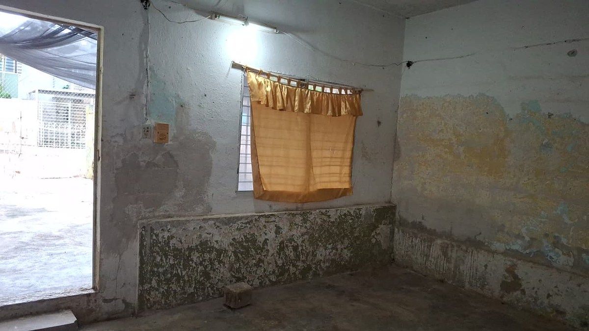 Lote em Diaz Ordaz, Mérida, foto 4 de 8
