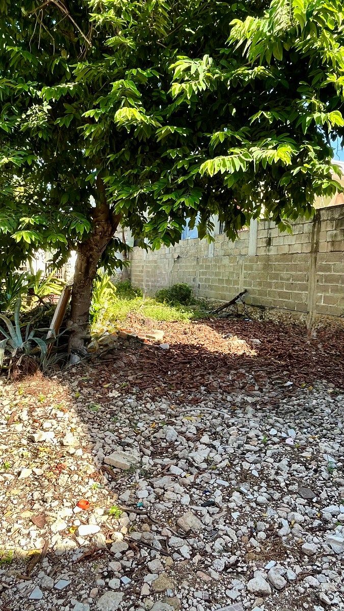 VENDA DE CASA PARA REMODELAR COM TERRENO, EXCELENTE LOCALIZAÇÃO COL. DIAZ ORDAZ, foto 1 de 8