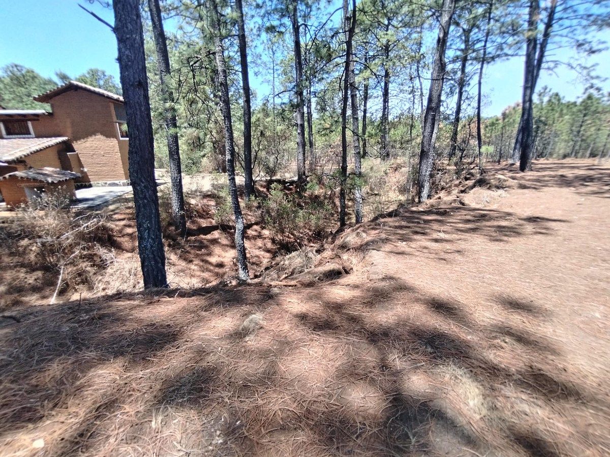 Lote em Los Espinos, Tapalpa, foto 2 de 12