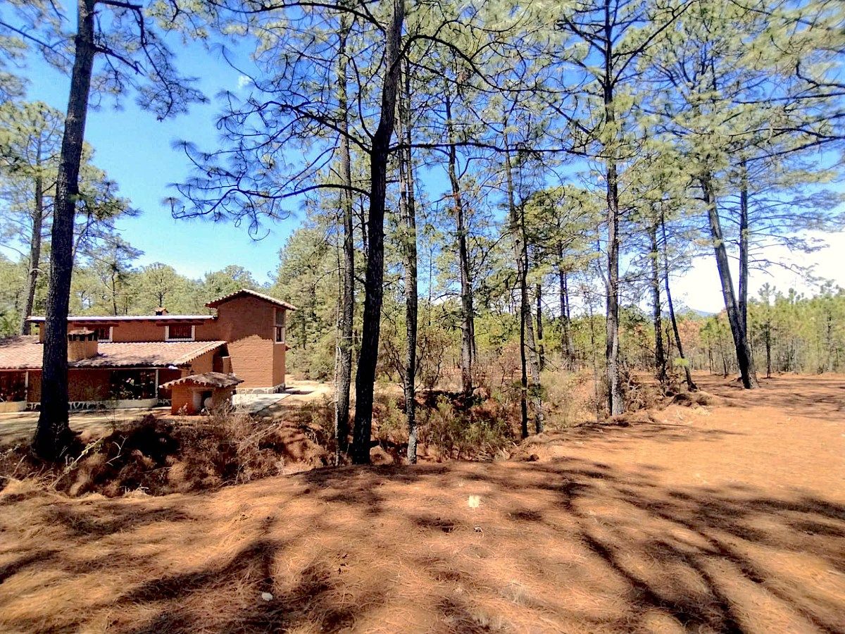 Lote em Los Espinos, Tapalpa, foto 3 de 12