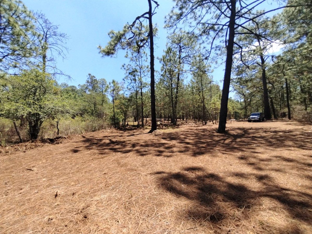 Lote em Los Espinos, Tapalpa, foto 4 de 12