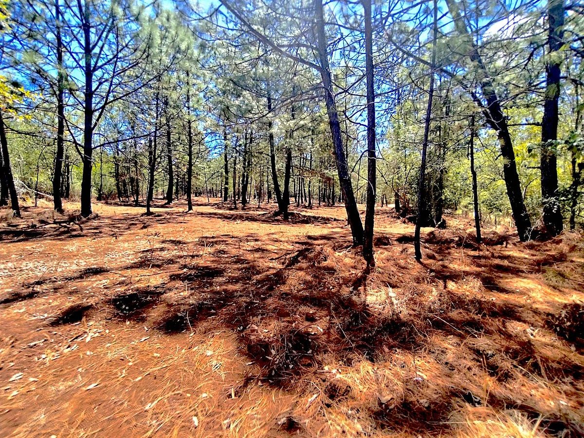 Lote em Los Espinos, Tapalpa, foto 7 de 12