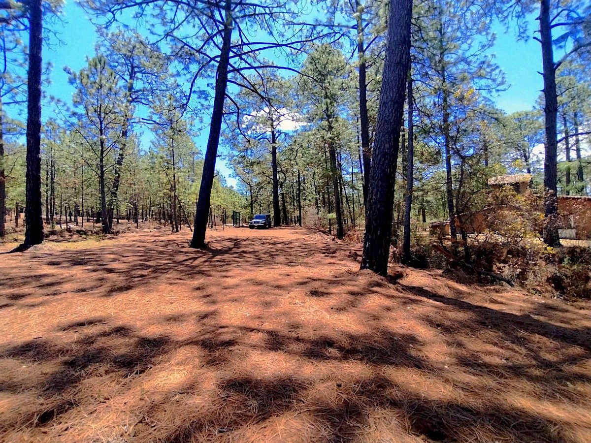 Lote em Los Espinos, Tapalpa, foto 8 de 12