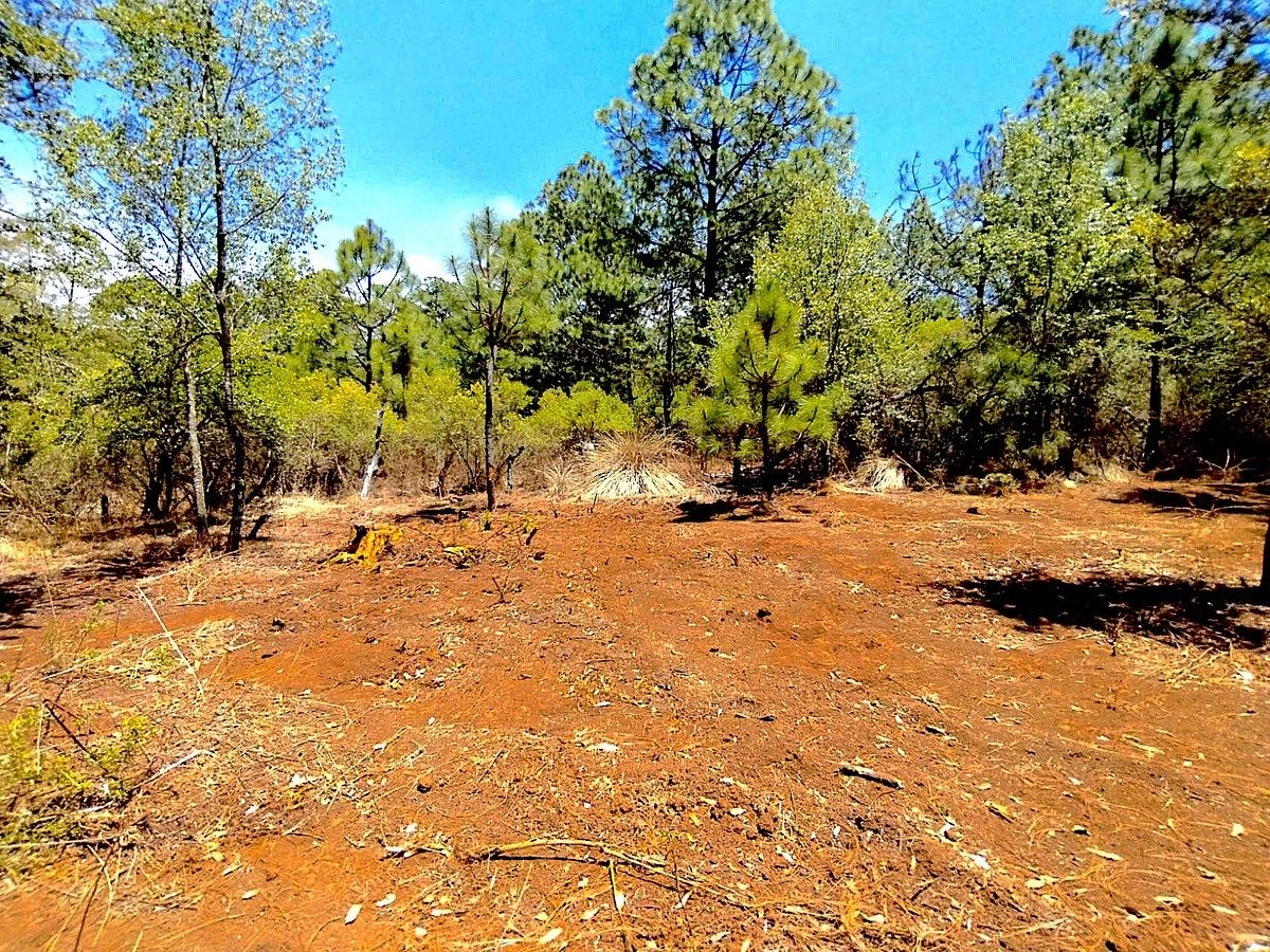 Lote em Los Espinos, Tapalpa, foto 9 de 12