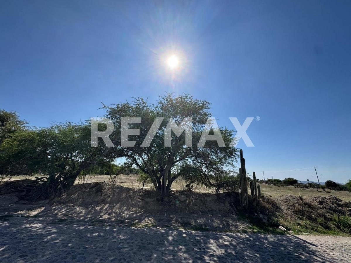 Commercial Lot in La Reforma, San José Iturbide, photo 8 of 12