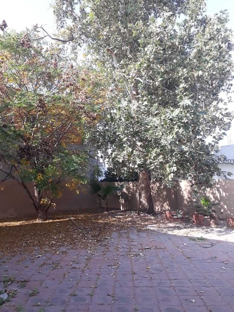 House in Contry los Estanques, Monterrey, photo 13 of 16