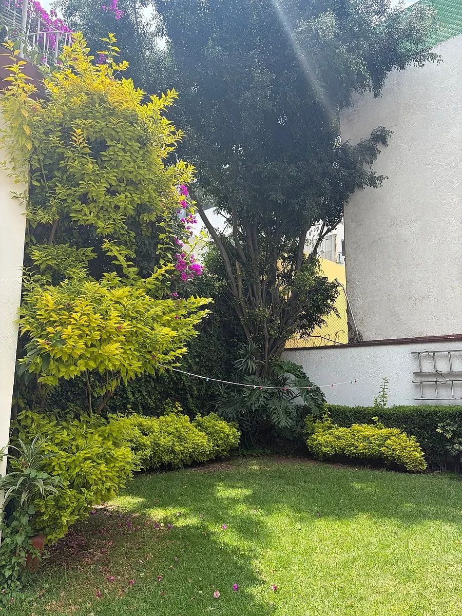 Casa con uso de suelo en Polanco III Sección, Miguel Hidalgo, foto 4 de 20