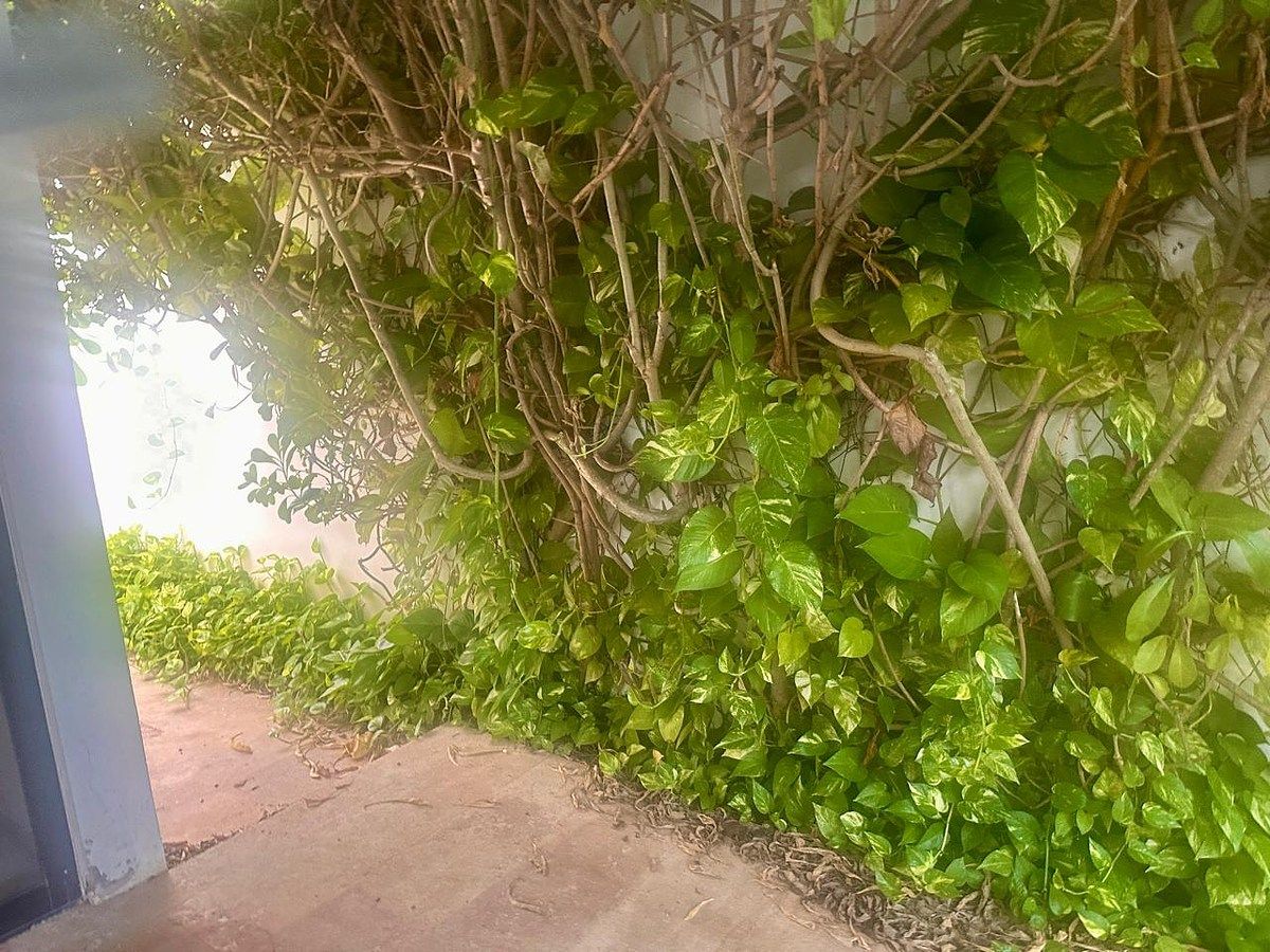 Casa em Temozón Norte, Mérida, foto 4 de 18