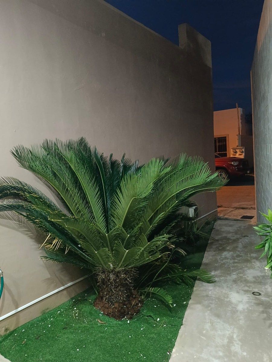 House in Las Américas, Mérida, photo 11 of 12