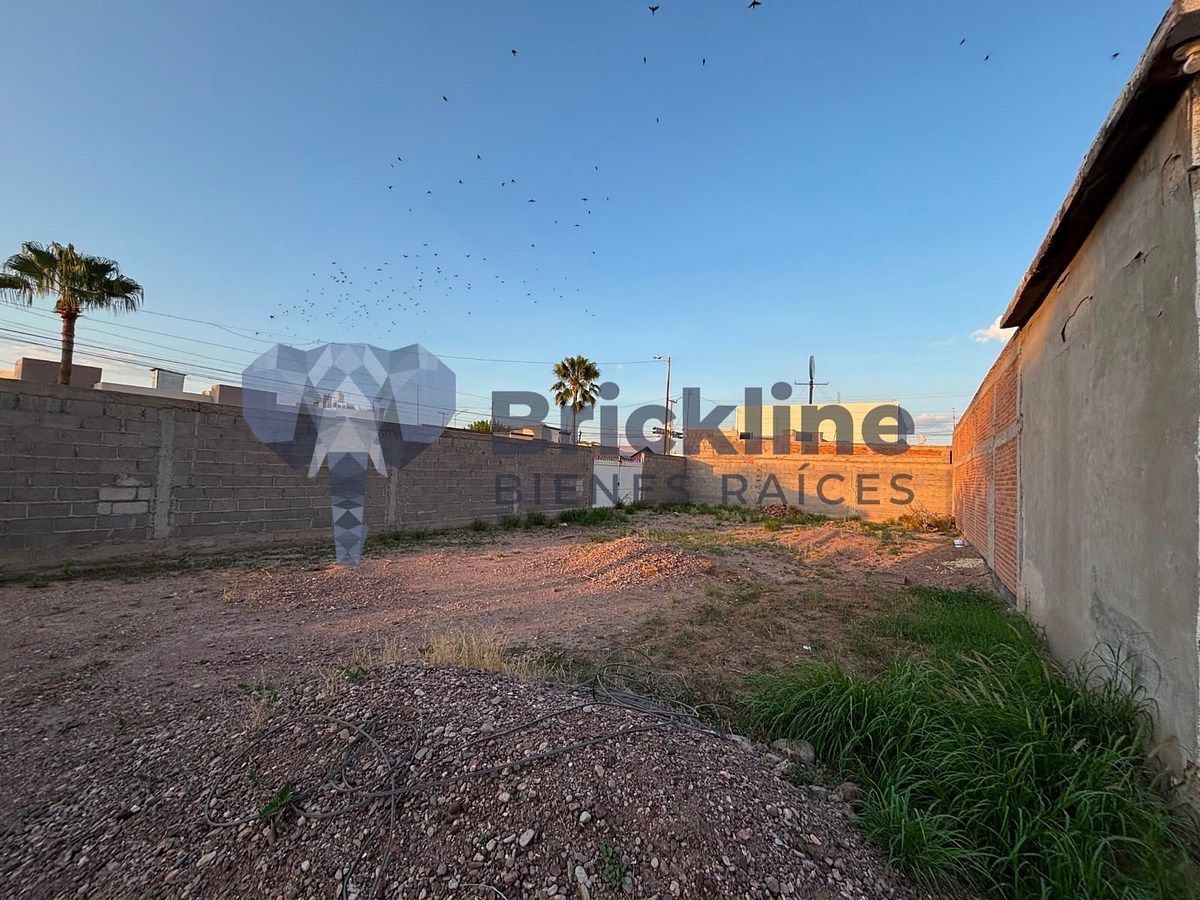 Casa en Flores del Tepeyac, Delicias, foto 10 de 14