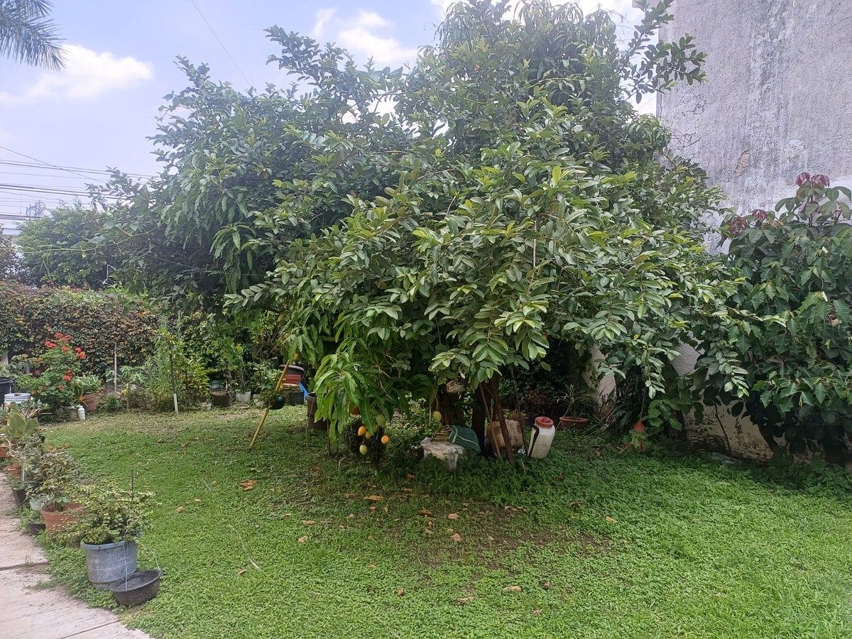 Jardín, foto 4 de 8