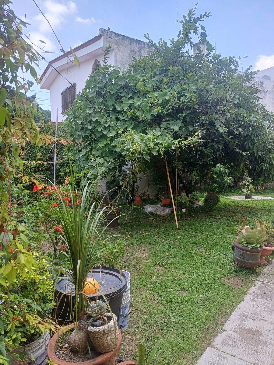 Jardin, foto 6 de 8