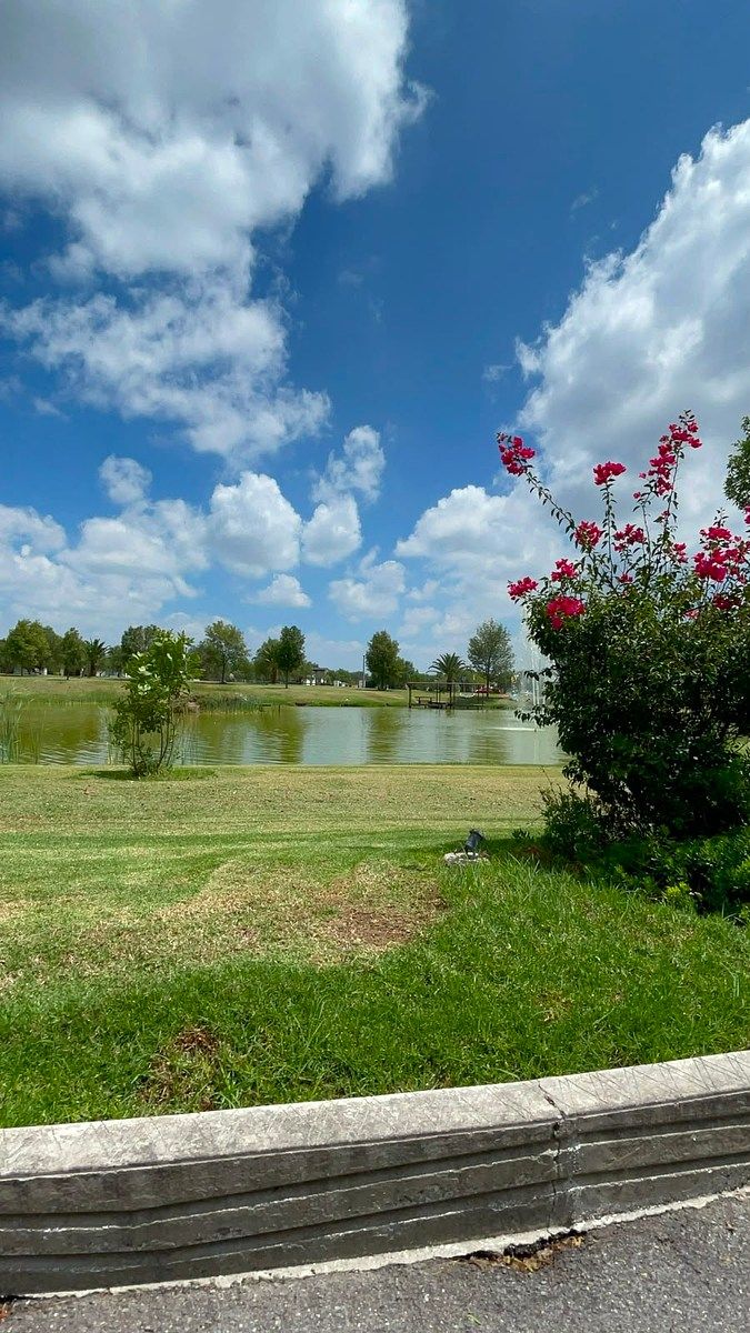 Lot in El Salto de los Salado, Aguascalientes, photo 15 of 33