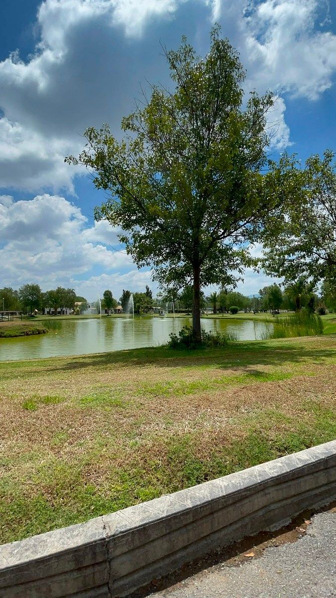 Lot in El Salto de los Salado, Aguascalientes, photo 17 of 33