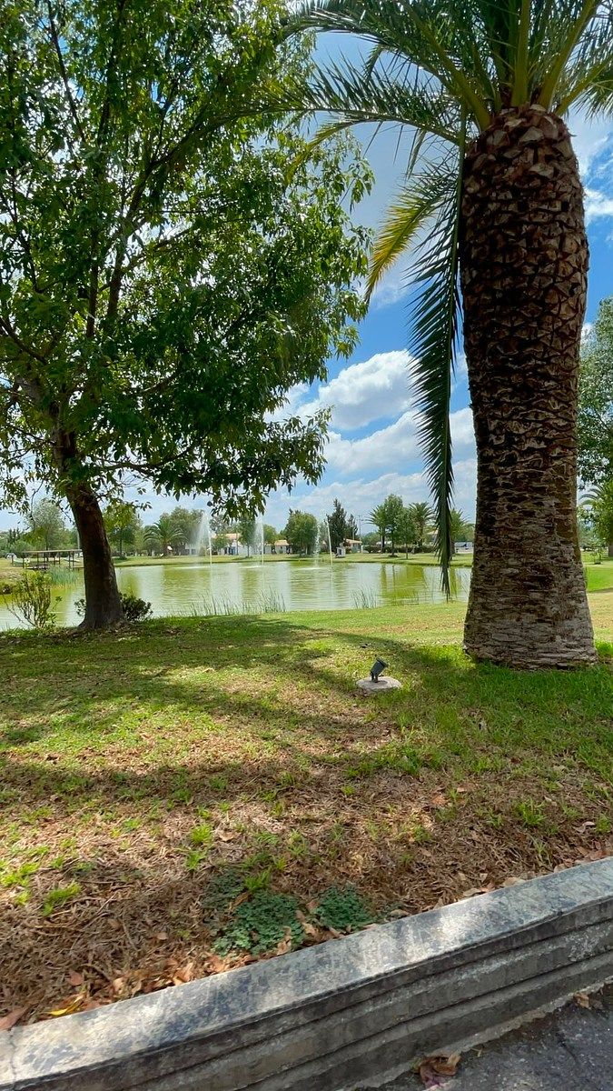 Lot in El Salto de los Salado, Aguascalientes, photo 18 of 33