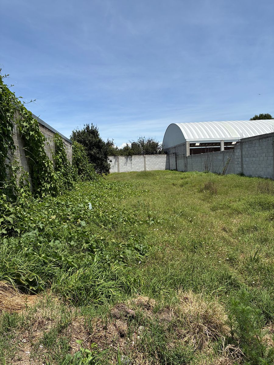 Lote em San Diego Xocoyucan, Ixtacuixtla de Mariano Matamoros, foto 8 de 10