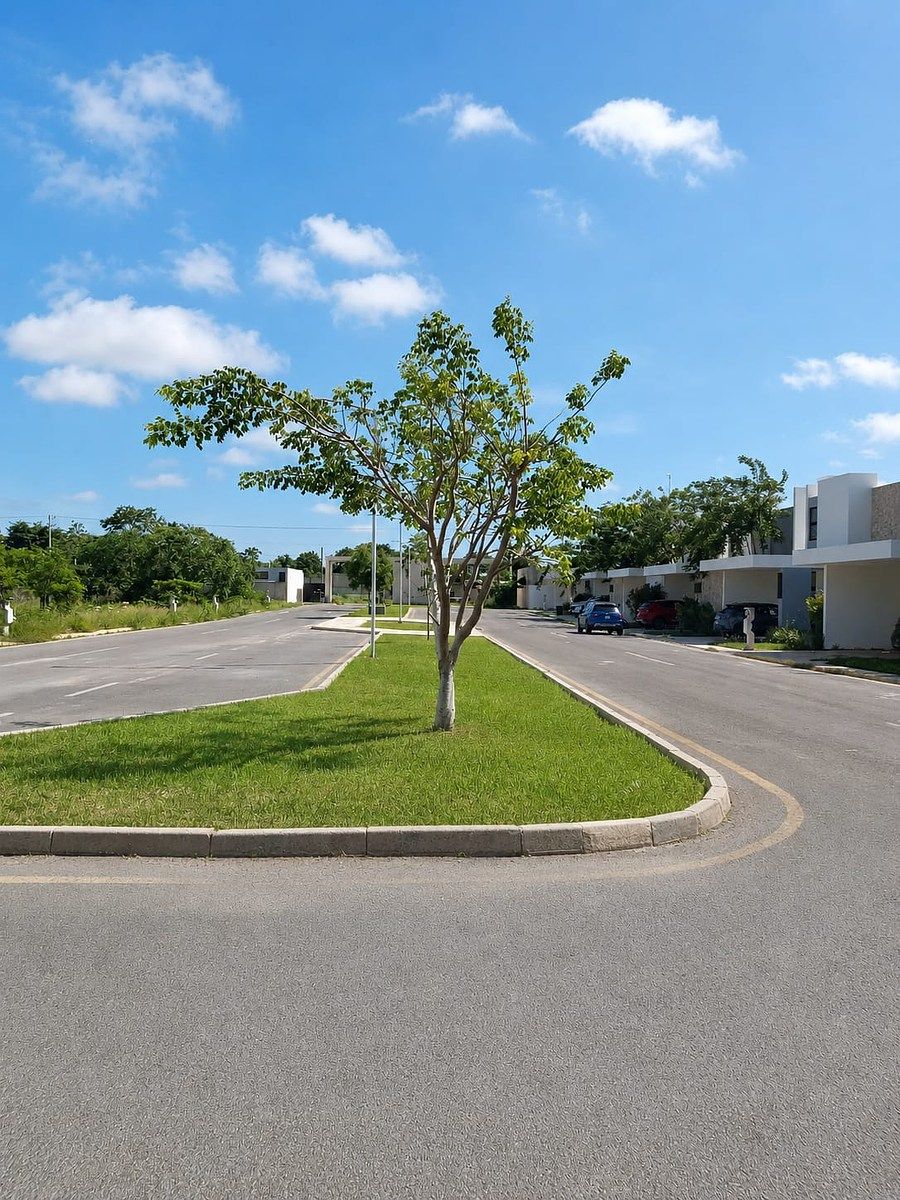 Terreno en Conkal, Conkal, foto 3 de 6