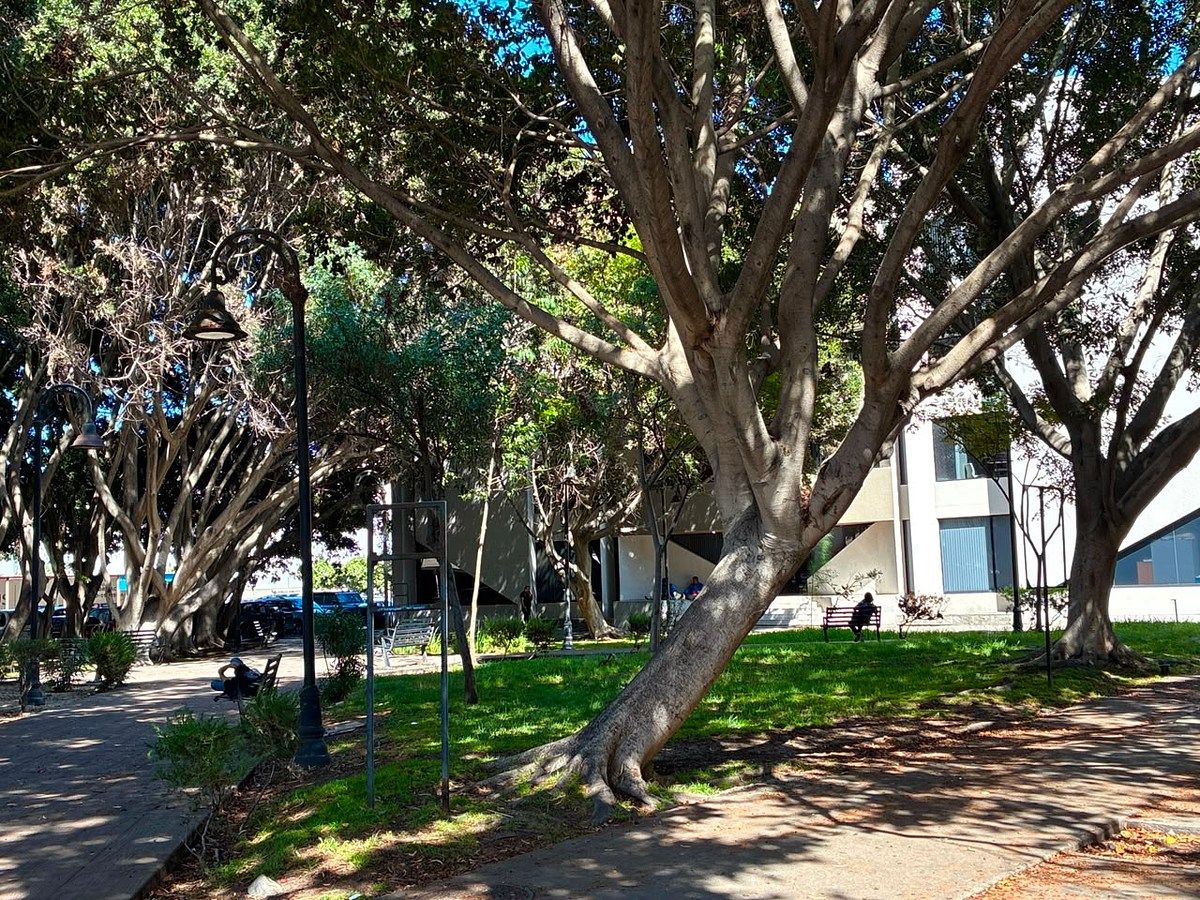 Sala Comercial em Zona Urbana Río Tijuana, Tijuana, foto 11 de 12