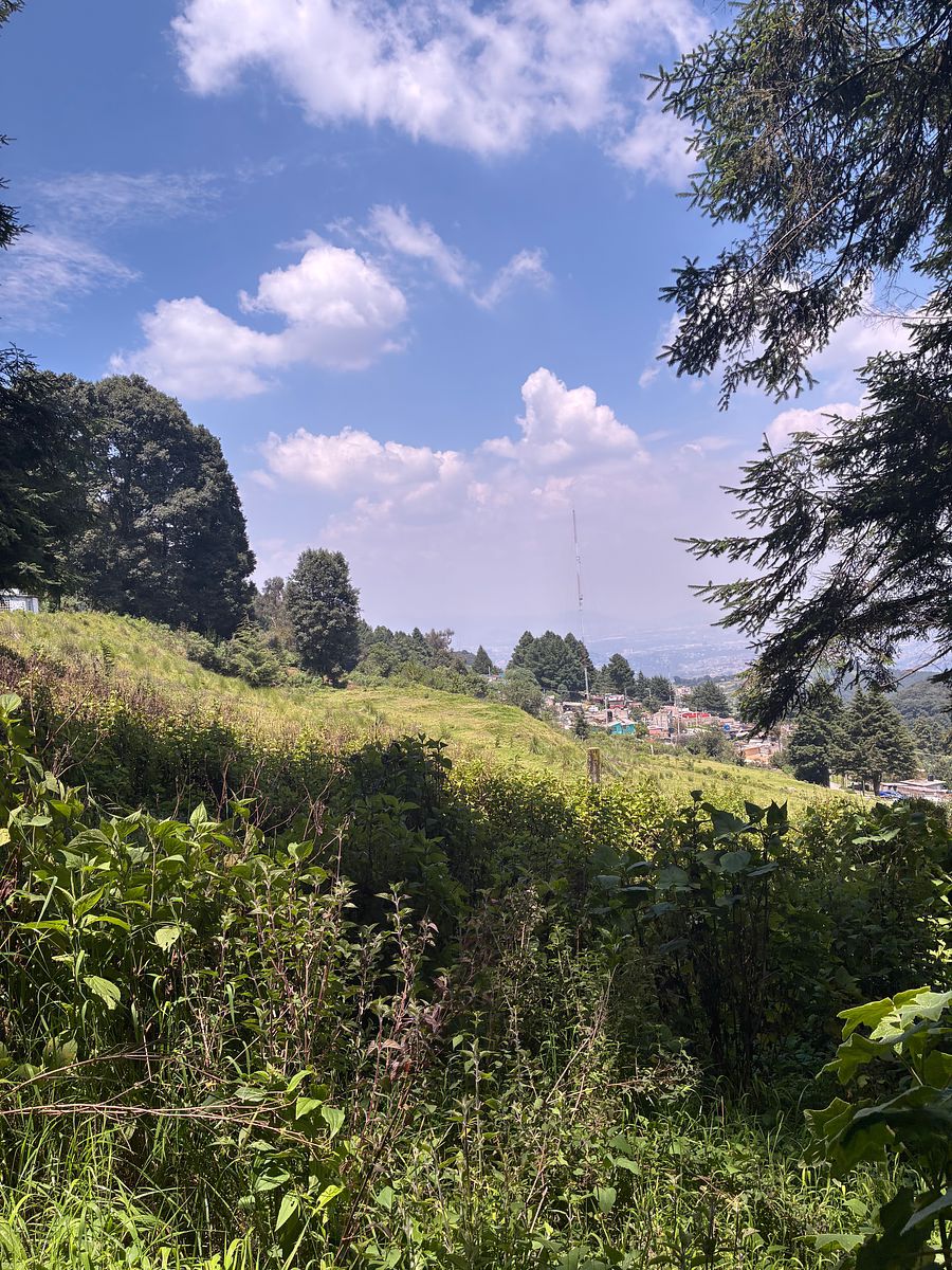 Terreno en San Francisco Chimalpa, Naucalpan de Juárez, foto 4 de 18