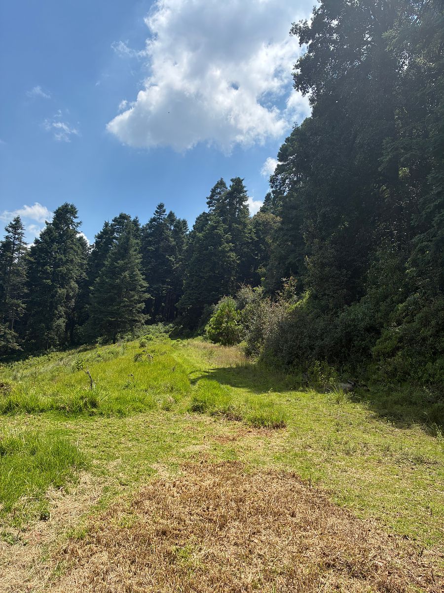 Terreno en San Francisco Chimalpa, Naucalpan de Juárez, foto 3 de 18