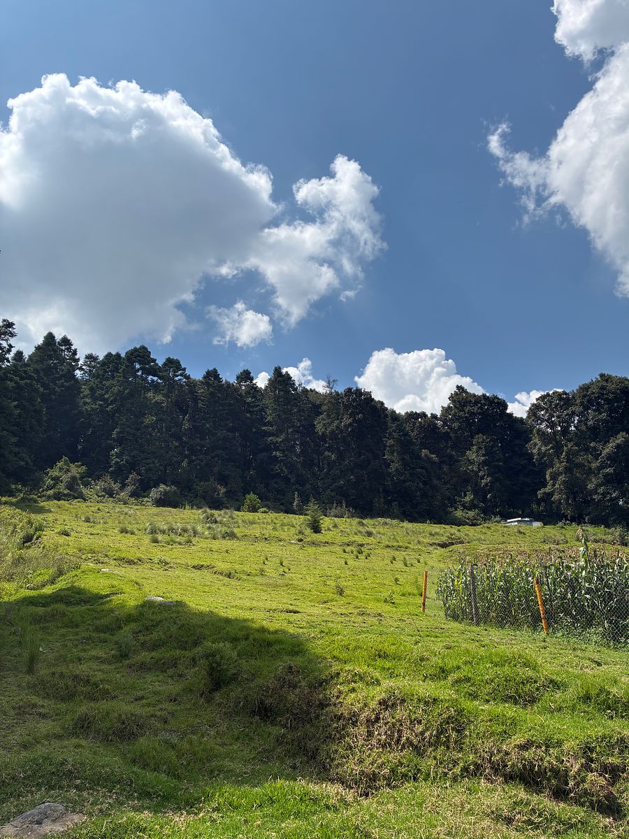 Terreno en San Francisco Chimalpa, Naucalpan de Juárez, foto 11 de 18