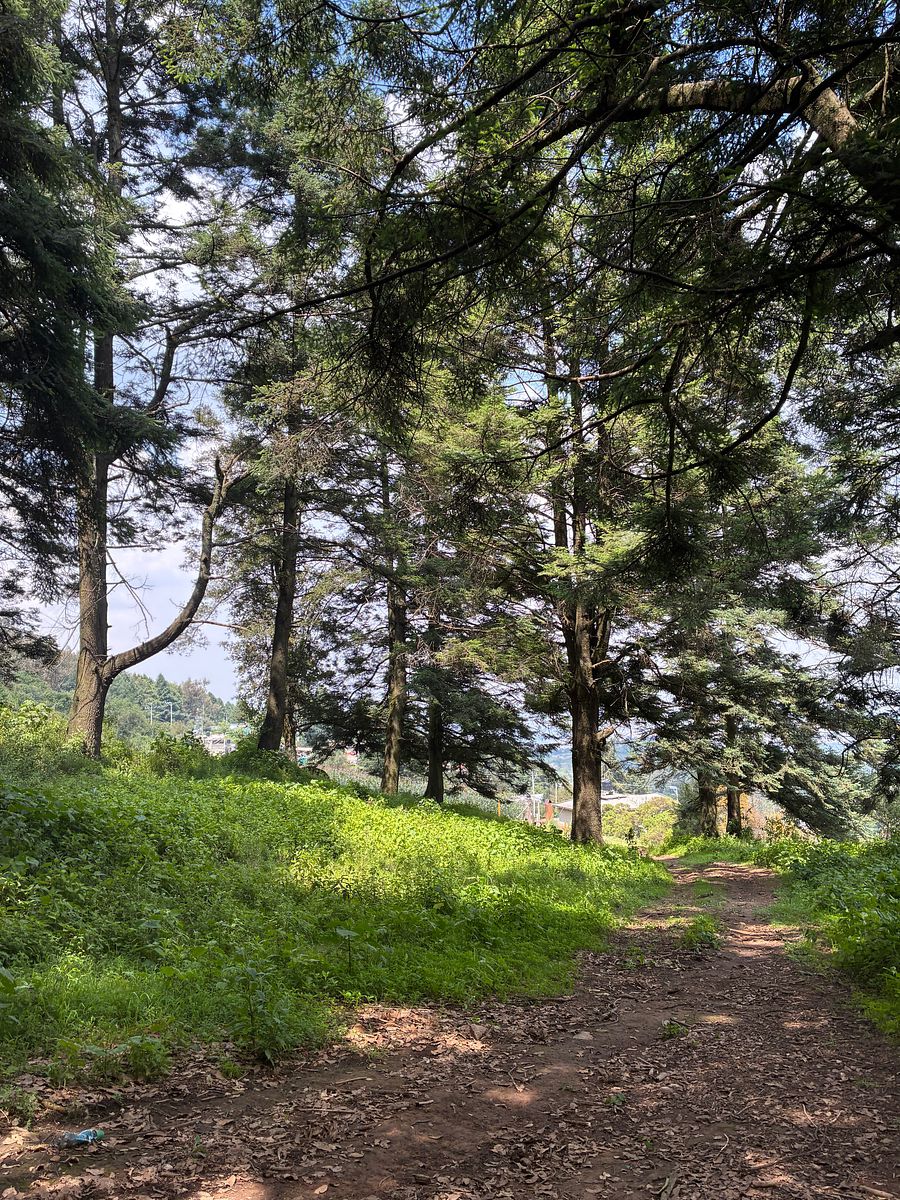 Terreno en San Francisco Chimalpa, Naucalpan de Juárez, foto 13 de 18