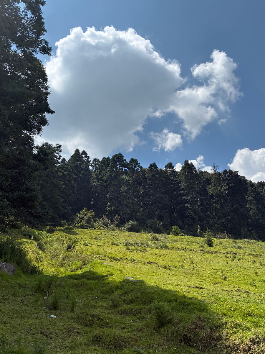 Terreno en San Francisco Chimalpa, Naucalpan de Juárez, foto 14 de 18