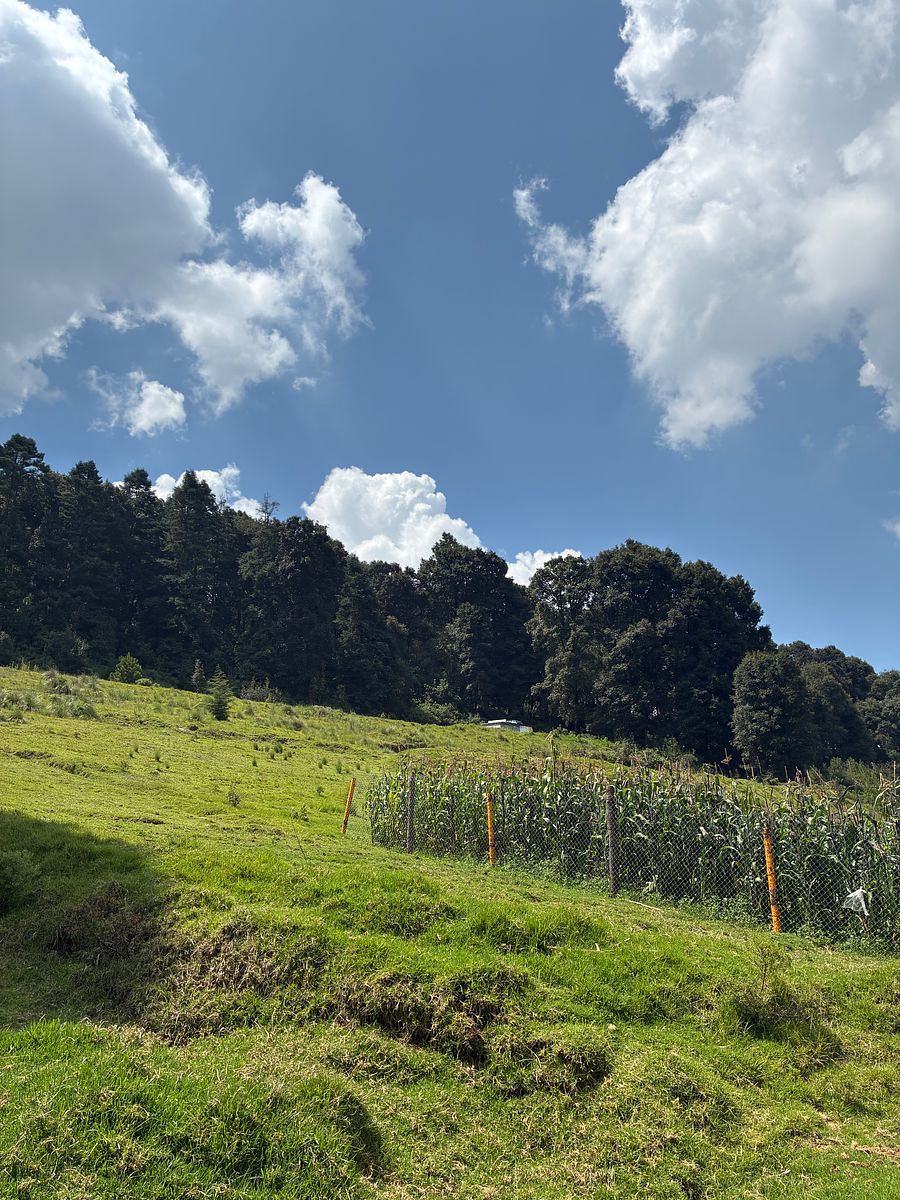 Terreno en San Francisco Chimalpa, Naucalpan de Juárez, foto 16 de 18